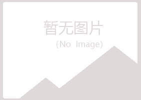 大城县山柏建筑有限公司